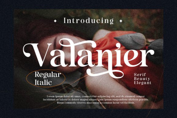 Download Valaneir - Premium Bundle